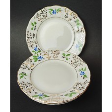 6 Dessert plates from the 