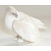 Cute Dove Rare Lomonosov porcelain figurine USSR 1970s