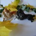 2 Beautiful Lying Poodles Lomonosov porcelain figurines