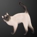 Graceful Siamese Cat Lomonosov porcelain figurine
